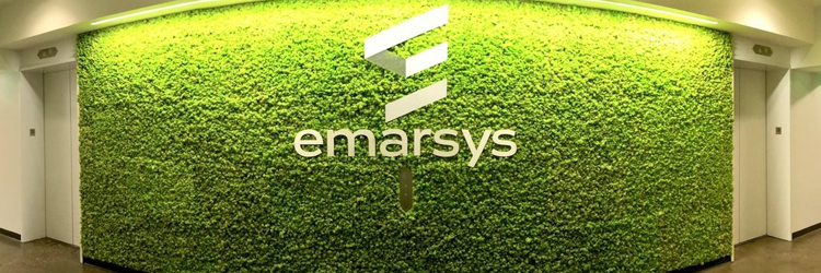 A wall of moss at Emarsys's US office
