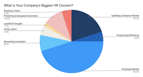 Pie Chart: Top 5 HR concerns in mid-sized businesses during COVID-19