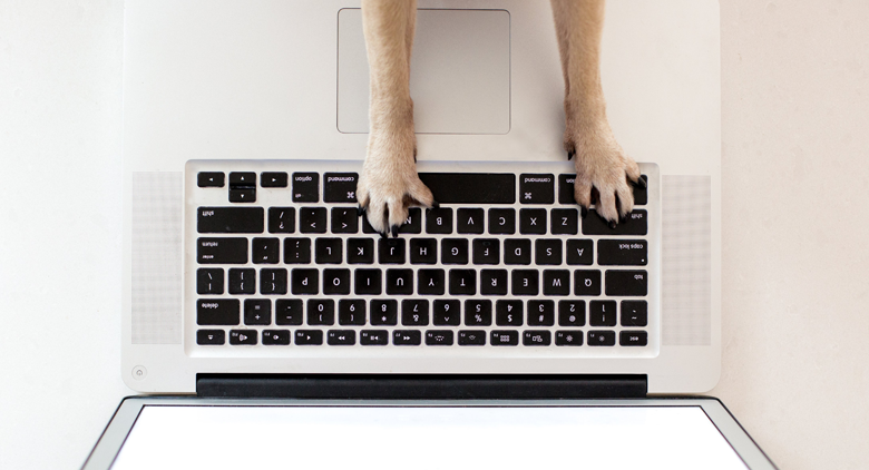 A dog's paws typing on a computer researching the science behind pet policies.